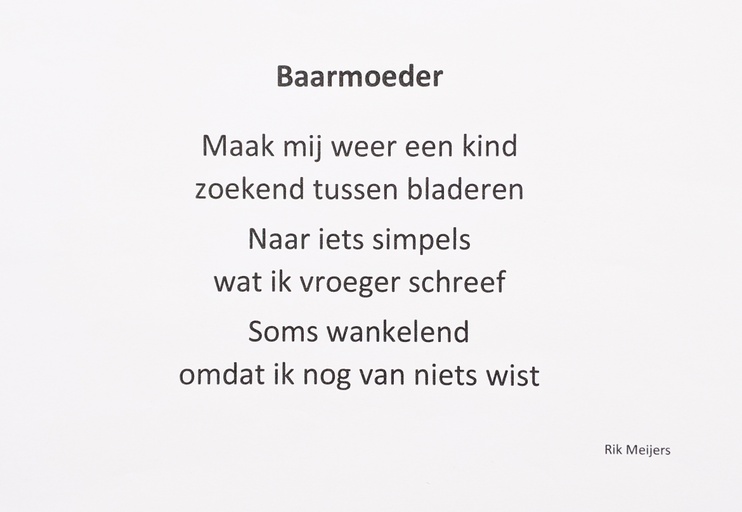 Rik Meijers